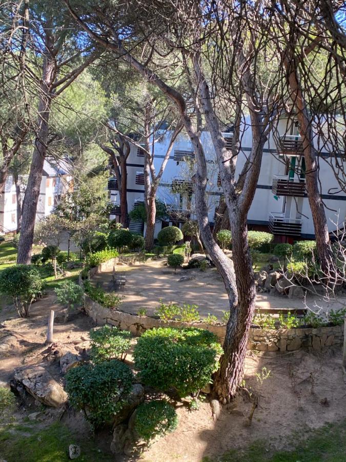 Apt Romantico Con Chimenea Con Fibra Optica Y Terraza San Martín de Valdeiglesias Exterior foto